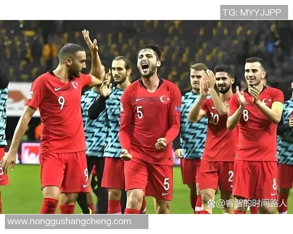 友谊赛精彩对决土耳其迎战乌克兰展现足球魅力与团结精神 友谊赛精彩对决土耳其迎战乌克兰展现足球魅力与团结精神