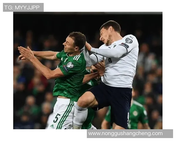 爱尔兰与奥地利激战成和比分揭晓精彩赛事回顾 爱尔兰与奥地利激战成和比分揭晓精彩赛事回顾