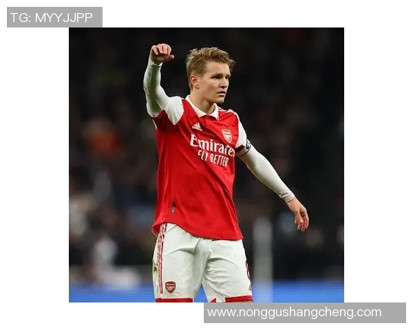 厄德高的崛起与挑战解析:从新星到足坛巨星的成长之路