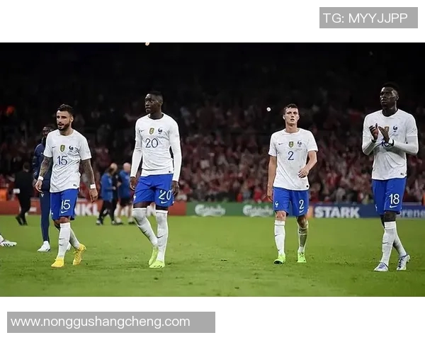 法国与丹麦历史交锋记录分析及比赛结果回顾 法国与丹麦历史交锋记录分析及比赛结果回顾