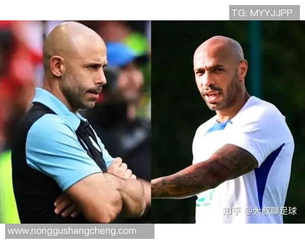 法国与阿根廷篮球对决精彩回顾与分析全场亮点尽在其中