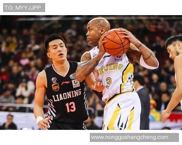 热火状元秀约克奇成为焦点,球迷期待他带领球队再次夺冠