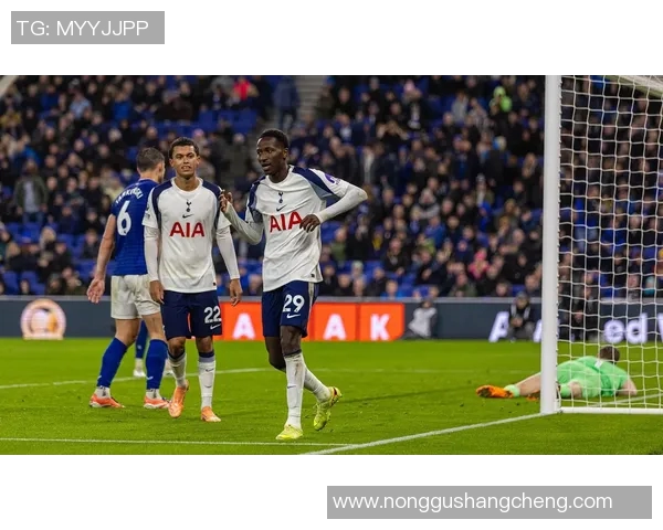 热刺与埃弗顿精彩对决比赛视频回顾及精彩瞬间分析