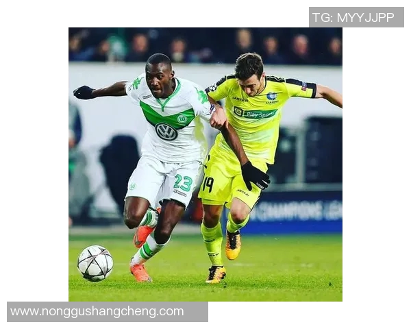 莱比锡红牛与里昂激战正酣比分揭晓引发热议 莱比锡红牛与里昂激战正酣比分揭晓引发热议