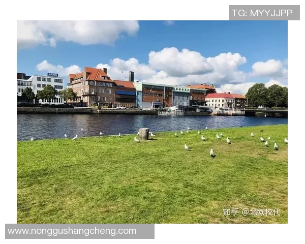 探索哈尔姆斯塔德的魅力与历史发现瑞典小城的独特风情与文化底蕴