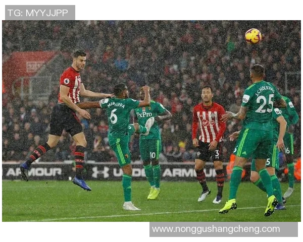 英联足球比赛直播布莱顿精彩对决全程回顾与分析