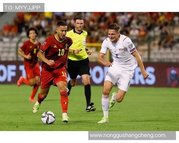 意甲激战恩波利迎战博洛尼亚双方争夺关键积分之战