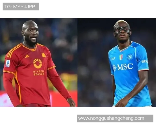 卢卡库在国际赛场的表现与未来发展潜力分析 卢卡库在国际赛场的表现与未来发展潜力分析