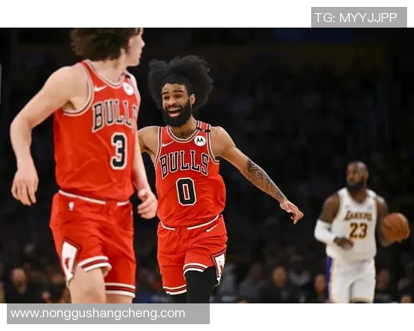 公牛与湖人精彩对决完整录像回顾及赛后分析分享