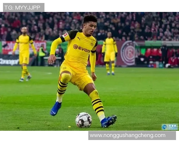 飓风足球比赛结果及昨日精彩直播回顾分析