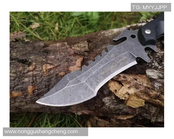 探索户外世界的利器全方位解析户外装备刀的选择与使用技巧 探索户外世界的利器全方位解析户外装备刀的选择与使用技巧