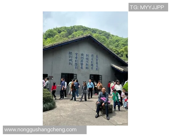 探索阿拉巴的魅力与文化底蕴，揭开这片土地的历史与未来之旅