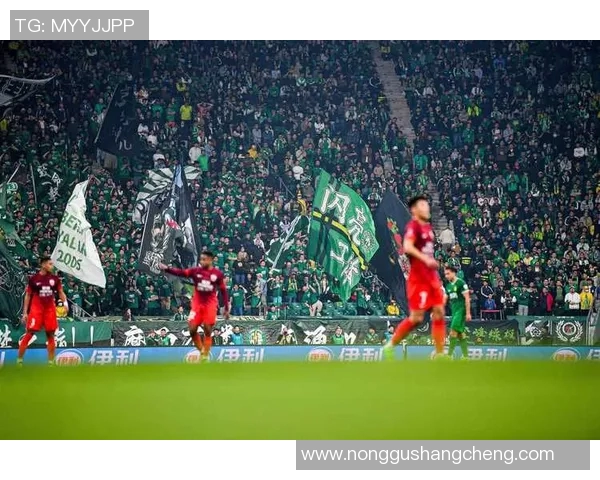 京多安领衔新阵容展现实力球迷期待他在赛季中的精彩表现