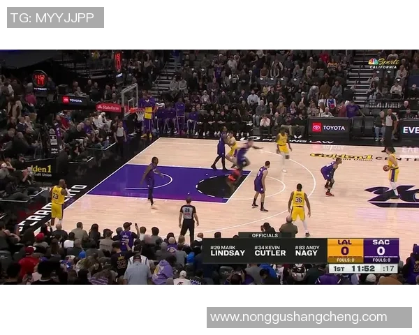 湖人对决国王精彩直播全程回顾与赛后分析