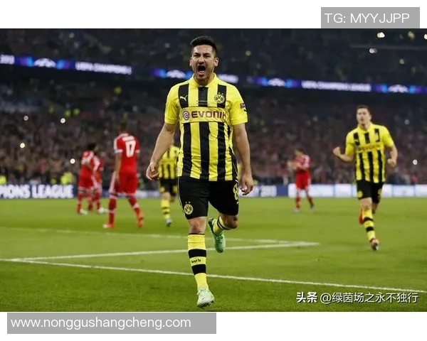 京多安的传奇旅程：从德甲新星到英超巨星的蜕变与成就