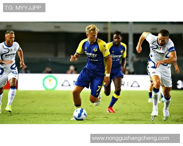 维罗纳与布雷西亚的激烈对决揭示意甲新赛季的竞争格局与球队实力对比