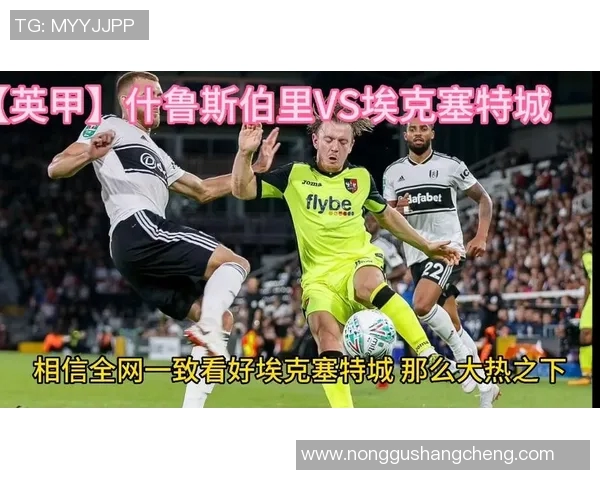 什鲁斯伯里对决分析与战术解析揭示球队未来发展潜力