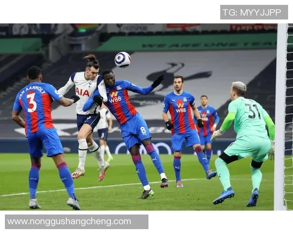 英超水晶宫足球比赛直播全程回顾与精彩瞬间分析