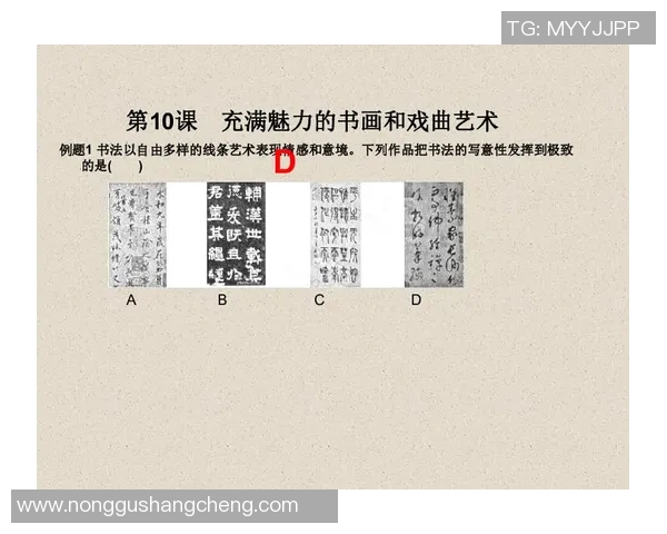 探索索博斯洛伊的历史与文化魅力揭示其在现代社会中的重要性与影响力