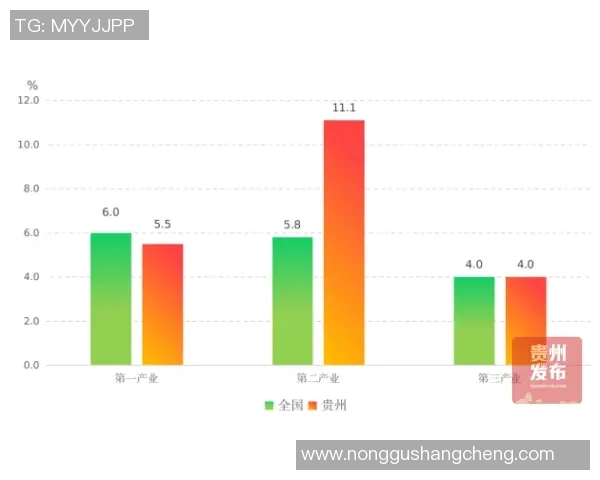国安与贵州对决统计结果分析揭示比赛关键数据与表现亮点