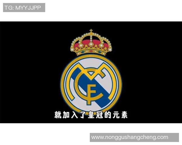 探索皇马队徽背后的历史与文化意义解析
