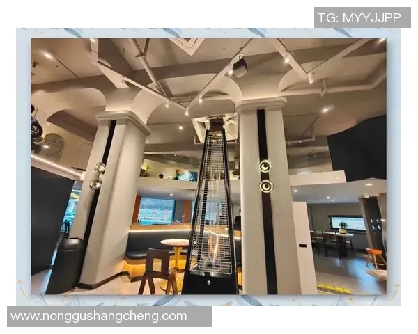 探索斯莫拉的魅力与历史深度体验这座城市的独特风情与文化底蕴