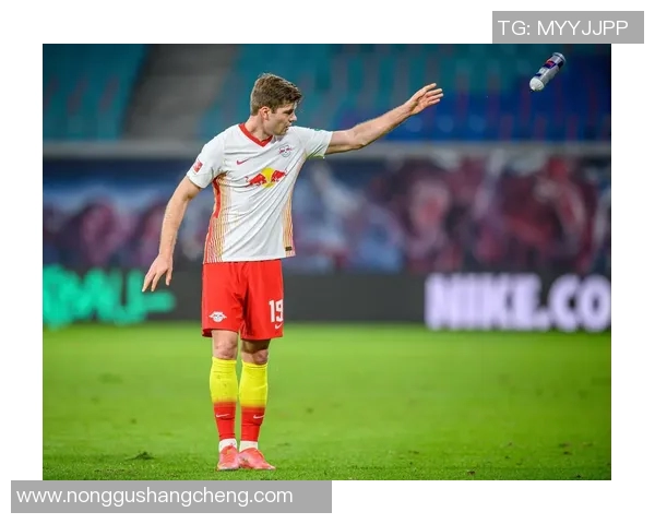 乔科尔认为切尔西有潜力成为欧冠黑马关键在于门将桑切斯的发挥