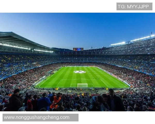 欧冠门票系统故障数万球迷排队长达12小时争抢心仪门票