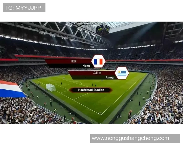 法国与乌拉圭激战赛场精彩瞬间回顾与分析